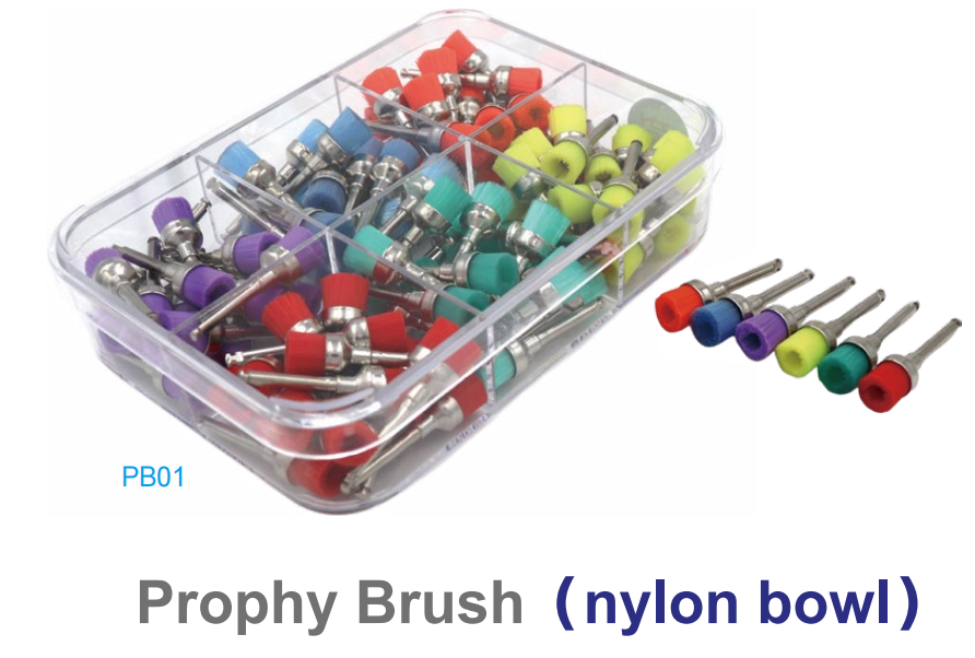 Chổi Đánh Bóng - PB01